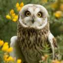 ��������������