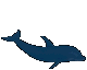 LasDolphin