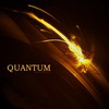 Quantum
