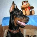 MEDium