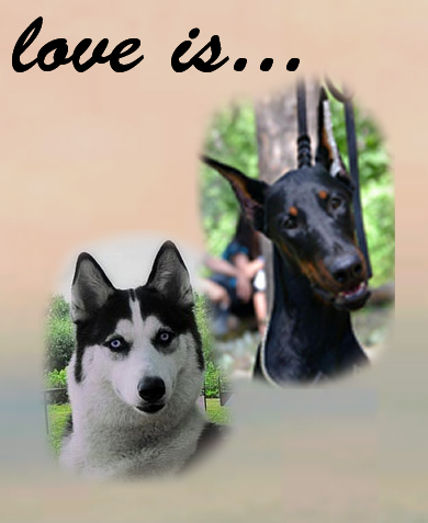 ����� � ����