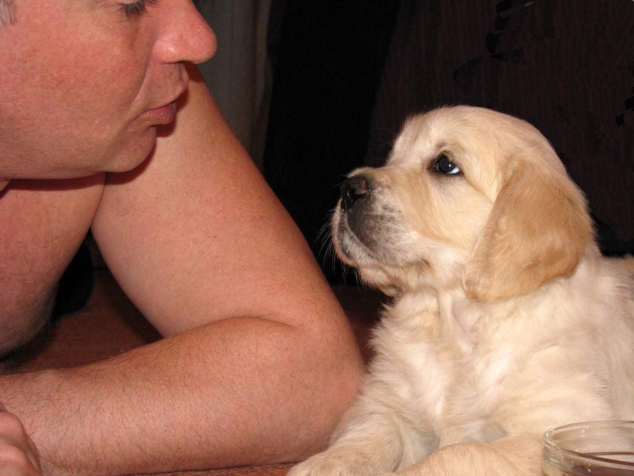 МИХМИХАЛЫЧ