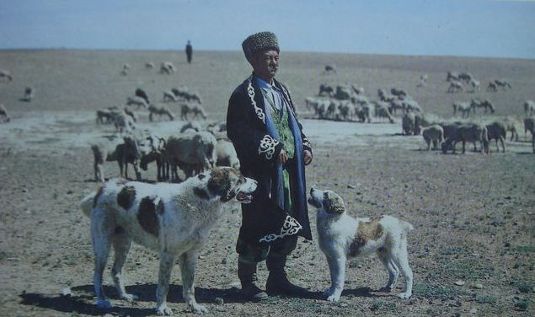 ������������