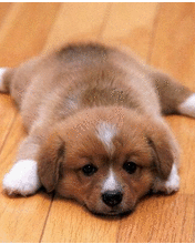 ��������������