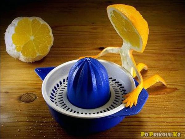 LegalFruit