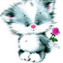 ��������15