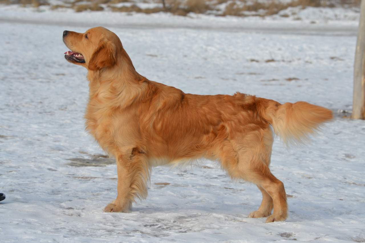 Таня и Эмир