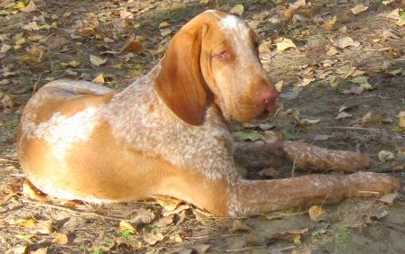 �������� �