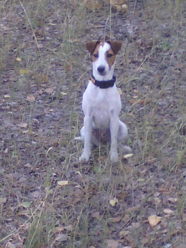 ���� ����