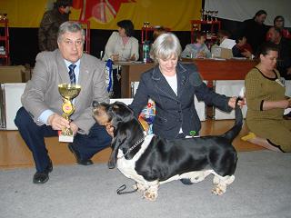 ������ �������