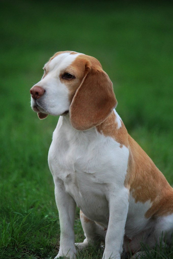 �����-����