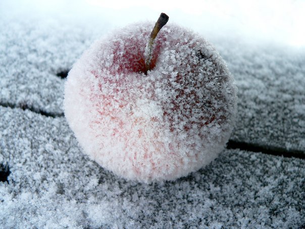 ���� �������