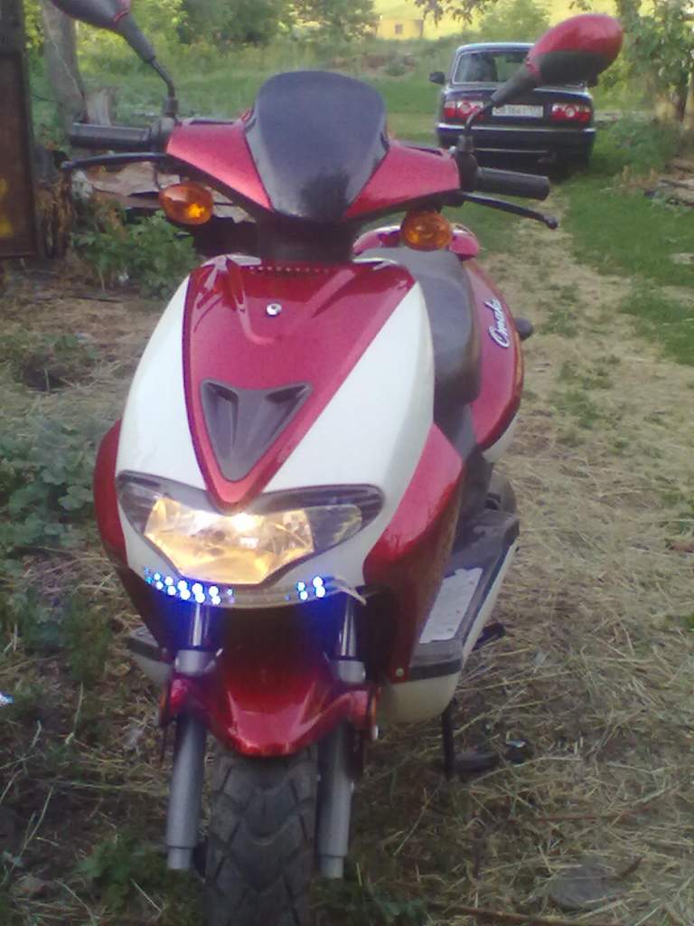 macrel